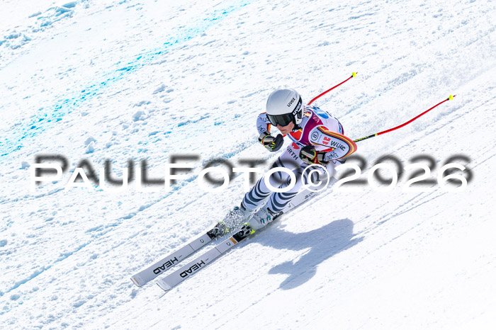 NC + NJC DH ,Frauen + Männer Axamer Lizum 25.03.2026