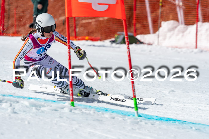NC + NJC DH ,Frauen + Männer Axamer Lizum 25.03.2026