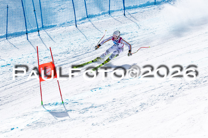 NC + NJC DH ,Frauen + Männer Axamer Lizum 25.03.2026