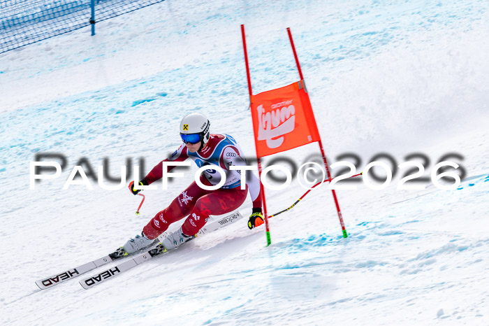 NC + NJC DH ,Frauen + Männer Axamer Lizum 25.03.2026