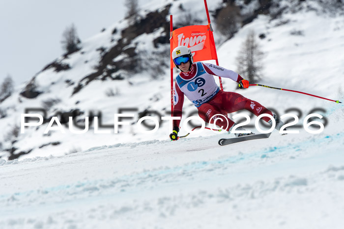 NC + NJC DH ,Frauen + Männer Axamer Lizum 25.03.2026