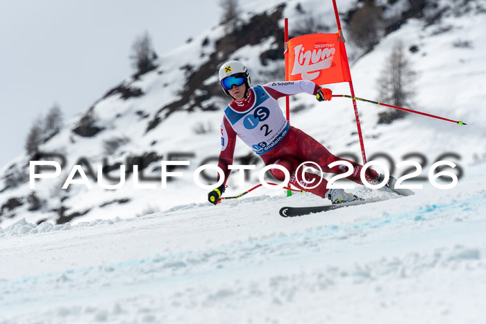 NC + NJC DH ,Frauen + Männer Axamer Lizum 25.03.2026