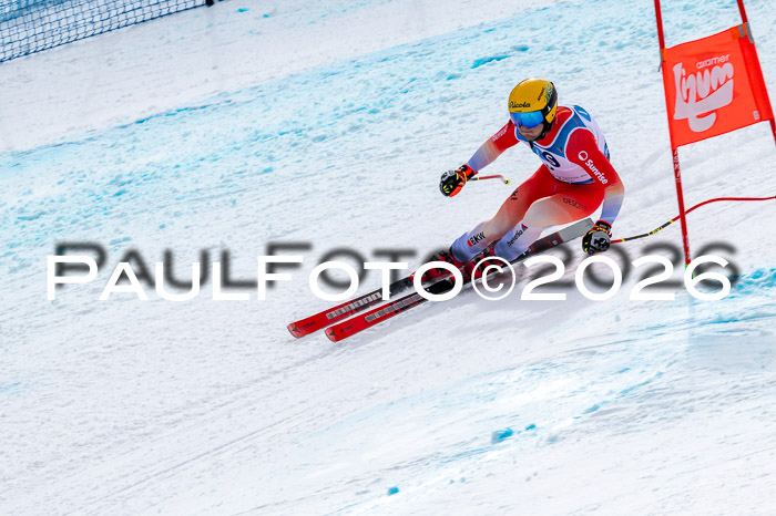 NC + NJC DH ,Frauen + Männer Axamer Lizum 25.03.2026