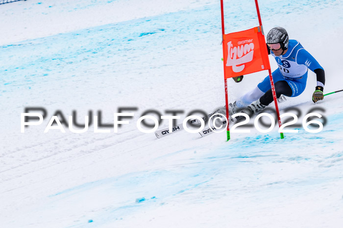 NC + NJC DH ,Frauen + Männer Axamer Lizum 25.03.2026