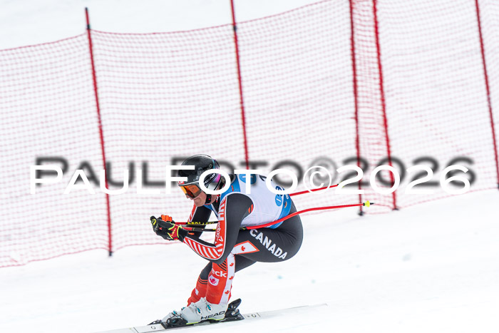 NC + NJC DH ,Frauen + Männer Axamer Lizum 25.03.2026