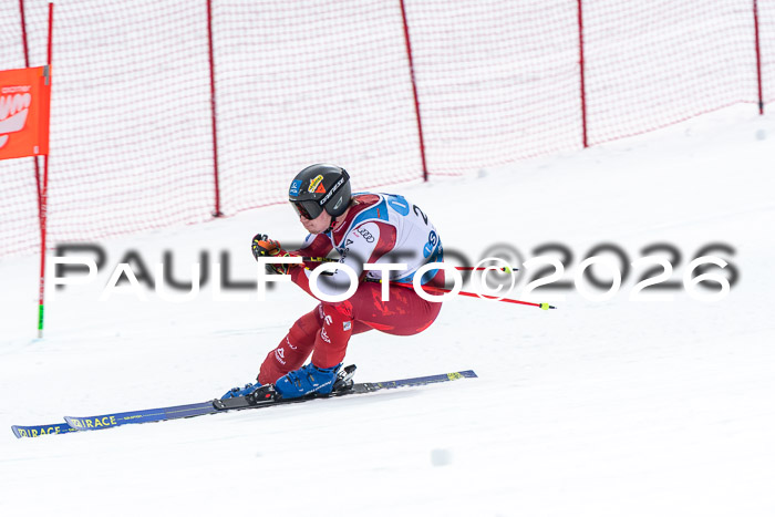 NC + NJC DH ,Frauen + Männer Axamer Lizum 25.03.2026