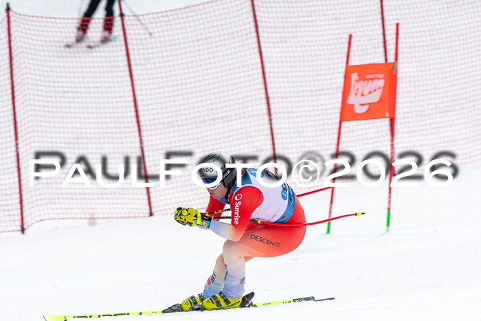 NC + NJC DH ,Frauen + Männer Axamer Lizum 25.03.2026