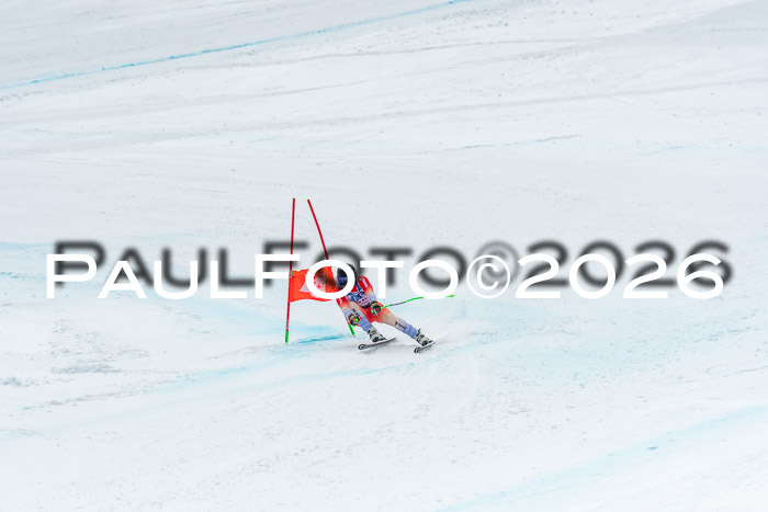 NC + NJC DH ,Frauen + Männer Axamer Lizum 25.03.2026