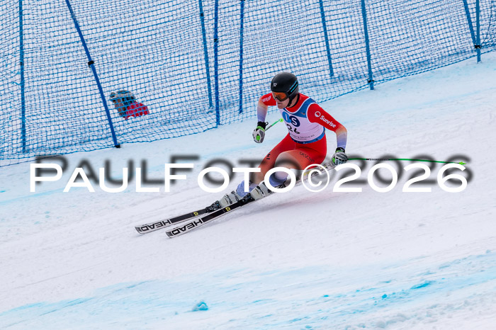 NC + NJC DH ,Frauen + Männer Axamer Lizum 25.03.2026