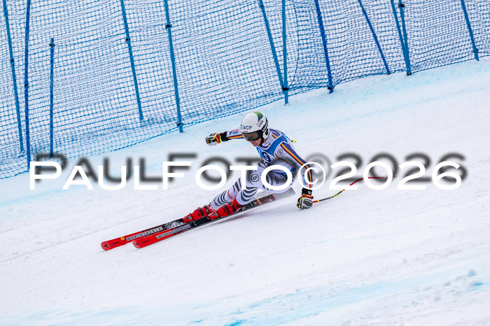 NC + NJC DH ,Frauen + Männer Axamer Lizum 25.03.2026