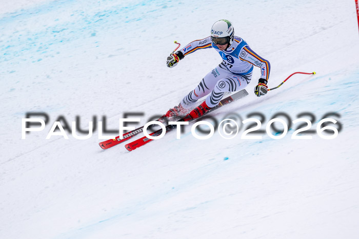 NC + NJC DH ,Frauen + Männer Axamer Lizum 25.03.2026