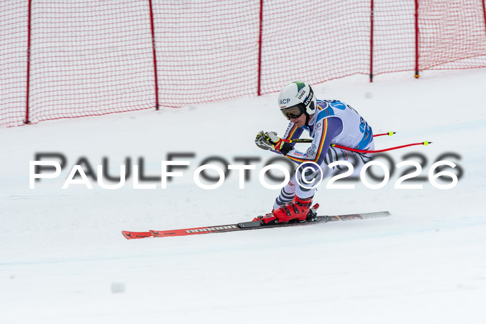 NC + NJC DH ,Frauen + Männer Axamer Lizum 25.03.2026