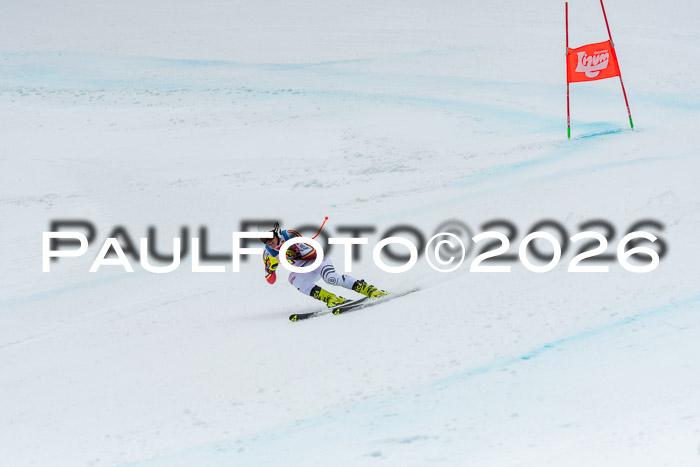 NC + NJC DH ,Frauen + Männer Axamer Lizum 25.03.2026