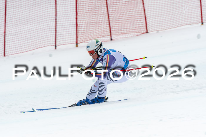 NC + NJC DH ,Frauen + Männer Axamer Lizum 25.03.2026