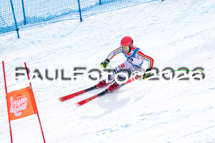 NC + NJC DH ,Frauen + Männer Axamer Lizum 25.03.2026