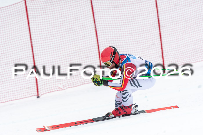 NC + NJC DH ,Frauen + Männer Axamer Lizum 25.03.2026