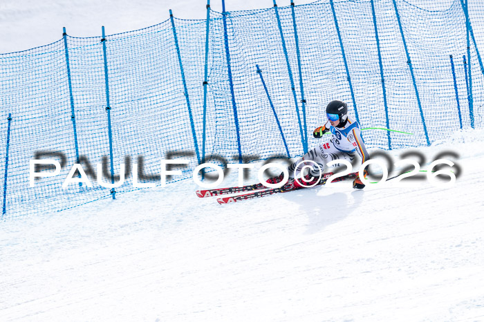 NC + NJC DH ,Frauen + Männer Axamer Lizum 25.03.2026