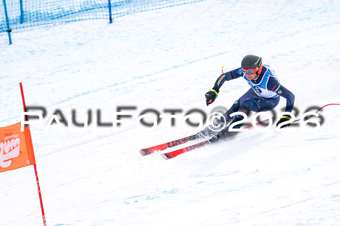 NC + NJC DH ,Frauen + Männer Axamer Lizum 25.03.2026