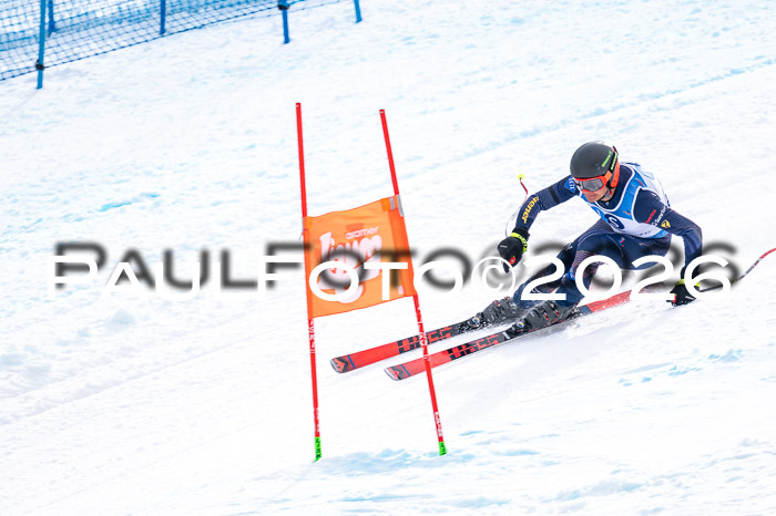 NC + NJC DH ,Frauen + Männer Axamer Lizum 25.03.2026