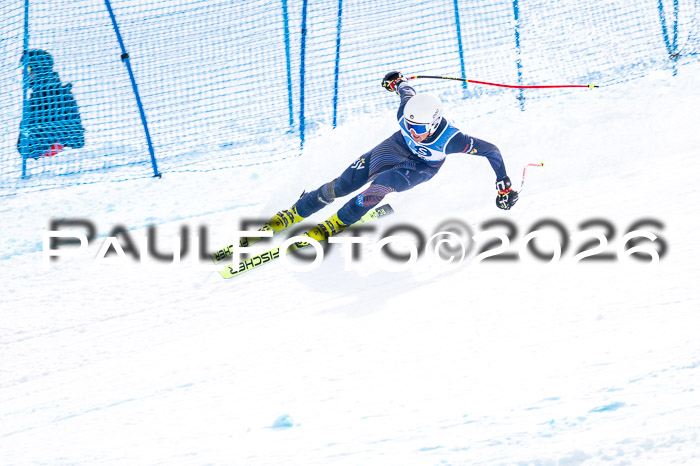 NC + NJC DH ,Frauen + Männer Axamer Lizum 25.03.2026