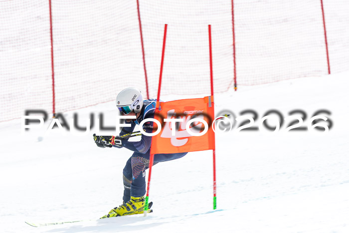 NC + NJC DH ,Frauen + Männer Axamer Lizum 25.03.2026