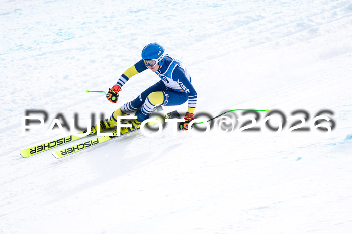 NC + NJC DH ,Frauen + Männer Axamer Lizum 25.03.2026