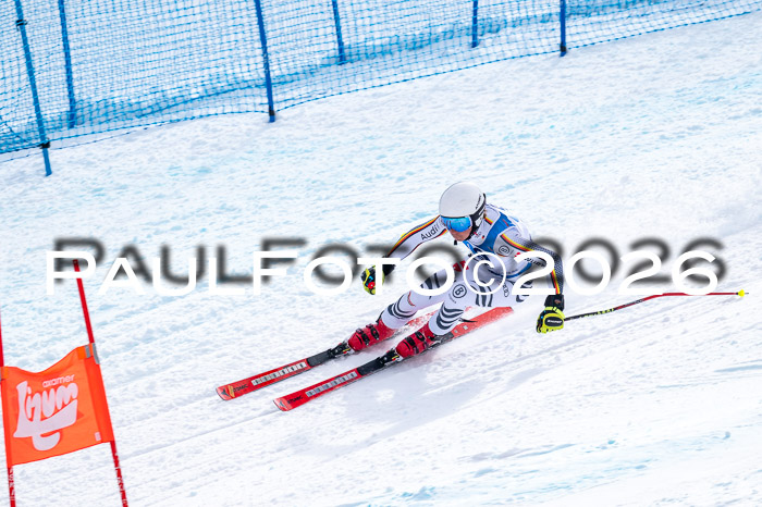 NC + NJC DH ,Frauen + Männer Axamer Lizum 25.03.2026