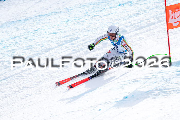 NC + NJC DH ,Frauen + Männer Axamer Lizum 25.03.2026