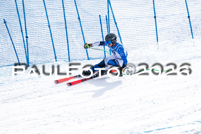 NC + NJC DH ,Frauen + Männer Axamer Lizum 25.03.2026