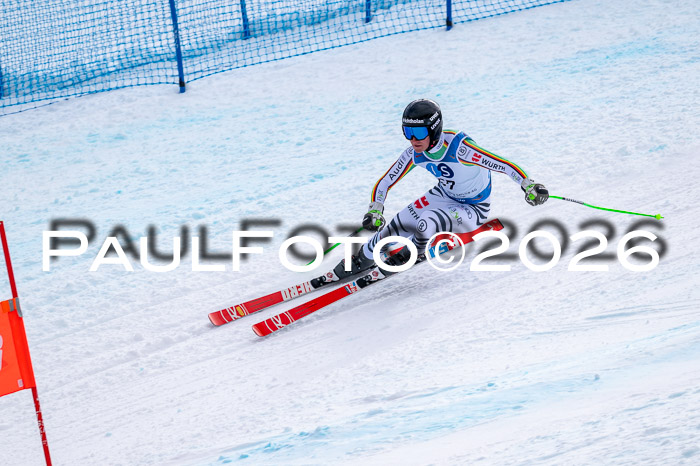 NC + NJC DH ,Frauen + Männer Axamer Lizum 25.03.2026