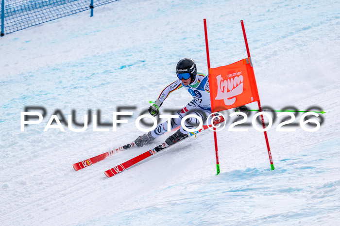 NC + NJC DH ,Frauen + Männer Axamer Lizum 25.03.2026