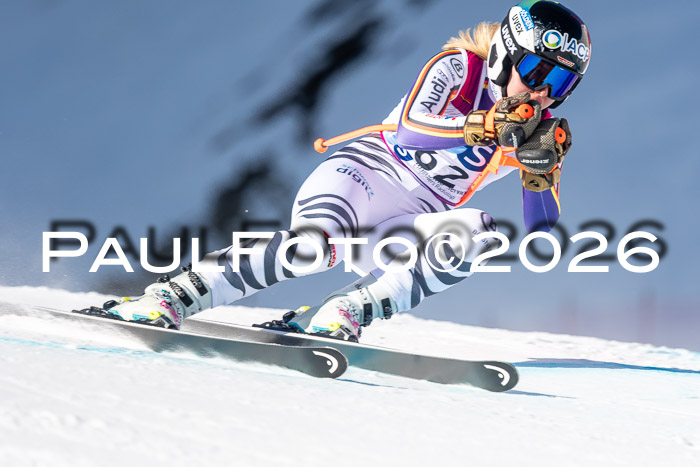 NC + NJC DH ,Frauen + Männer Axamer Lizum 25.03.2026