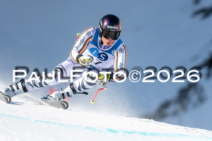 NC + NJC DH ,Frauen + Männer Axamer Lizum 25.03.2026