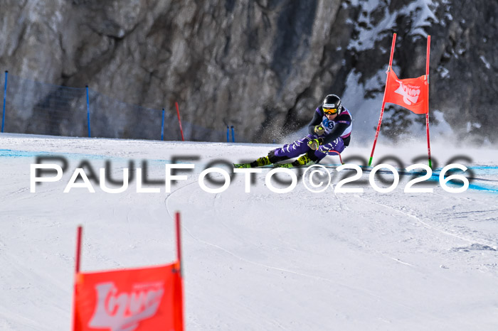 NC + NJC DH ,Frauen + Männer Axamer Lizum 25.03.2026