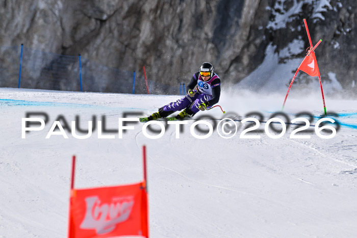 NC + NJC DH ,Frauen + Männer Axamer Lizum 25.03.2026