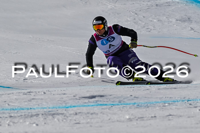 NC + NJC DH ,Frauen + Männer Axamer Lizum 25.03.2026