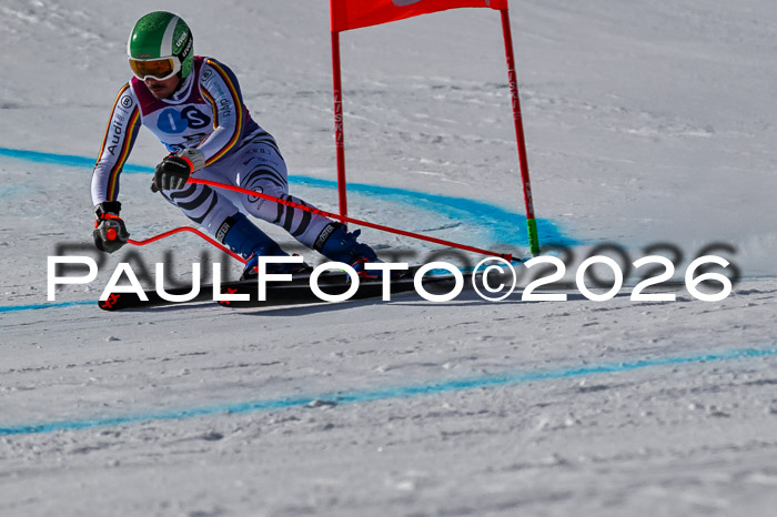 NC + NJC DH ,Frauen + Männer Axamer Lizum 25.03.2026