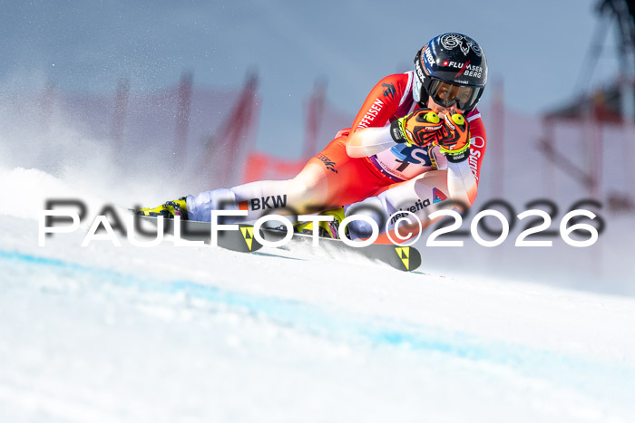 NC + NJC DH ,Frauen + Männer Axamer Lizum 25.03.2026