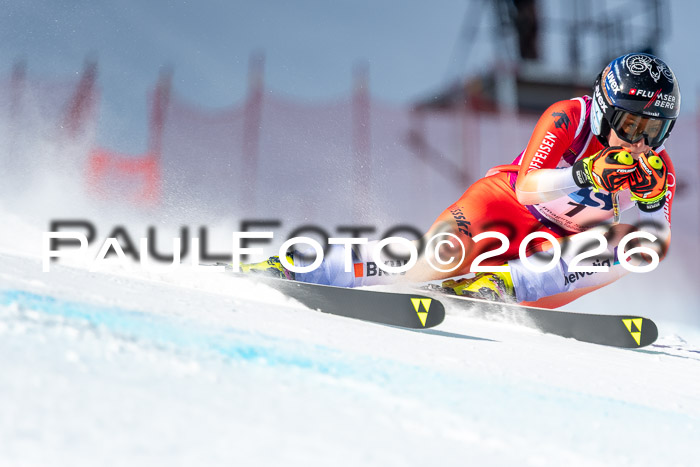 NC + NJC DH ,Frauen + Männer Axamer Lizum 25.03.2026