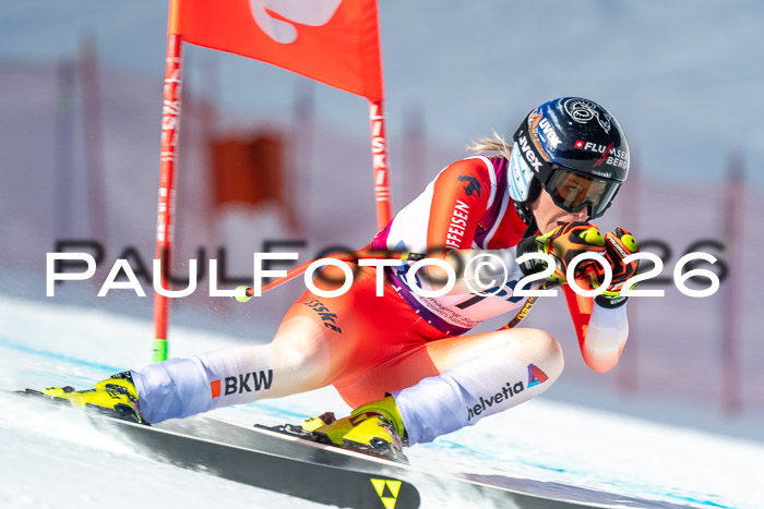 NC + NJC DH ,Frauen + Männer Axamer Lizum 25.03.2026