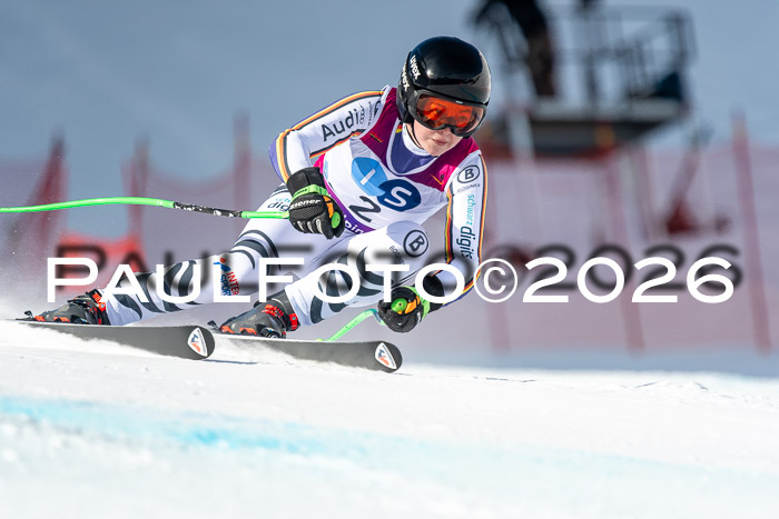 NC + NJC DH ,Frauen + Männer Axamer Lizum 25.03.2026