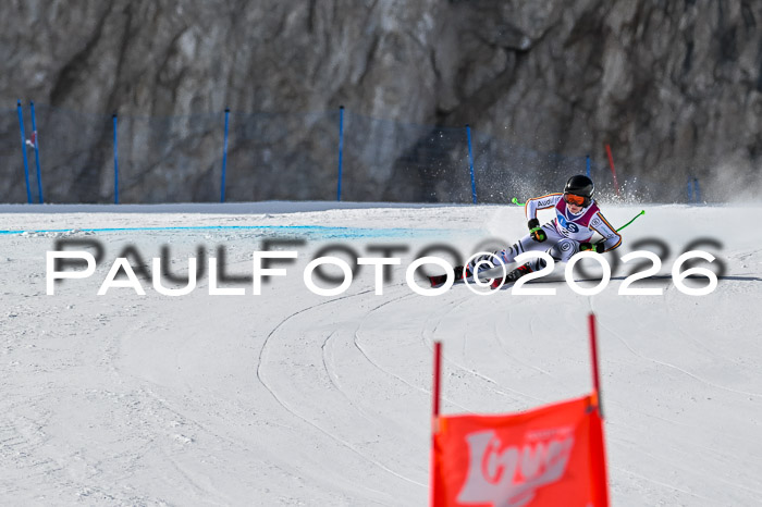 NC + NJC DH ,Frauen + Männer Axamer Lizum 25.03.2026