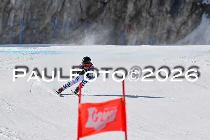 NC + NJC DH ,Frauen + Männer Axamer Lizum 25.03.2026