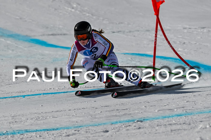 NC + NJC DH ,Frauen + Männer Axamer Lizum 25.03.2026