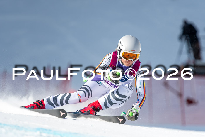 NC + NJC DH ,Frauen + Männer Axamer Lizum 25.03.2026