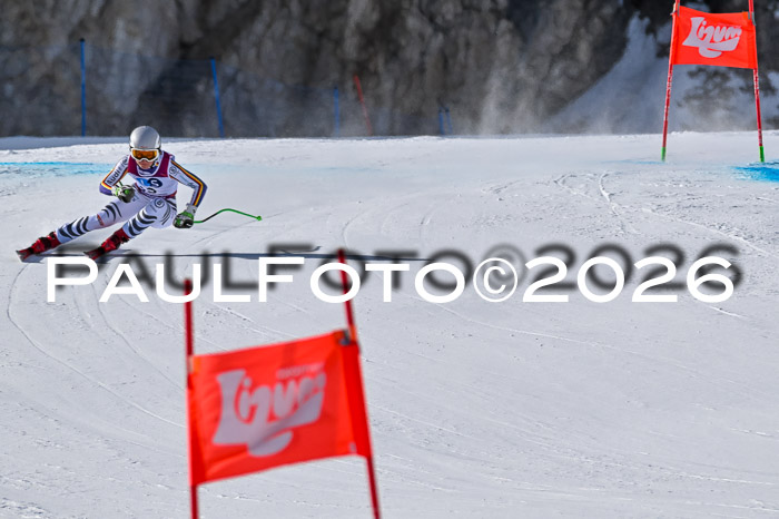 NC + NJC DH ,Frauen + Männer Axamer Lizum 25.03.2026