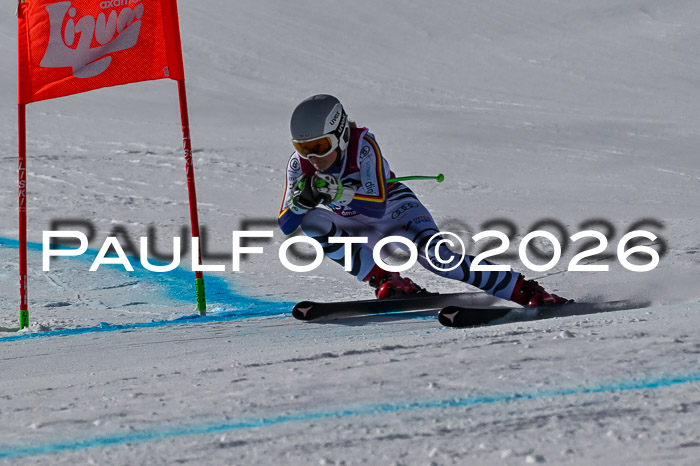 NC + NJC DH ,Frauen + Männer Axamer Lizum 25.03.2026