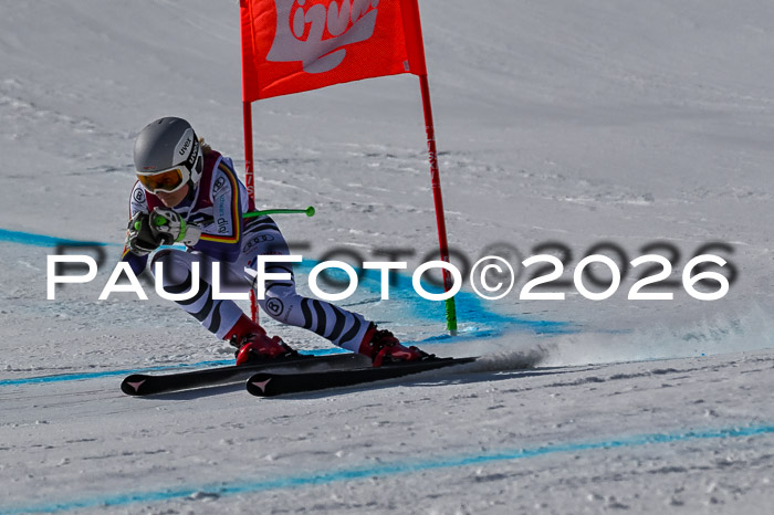 NC + NJC DH ,Frauen + Männer Axamer Lizum 25.03.2026