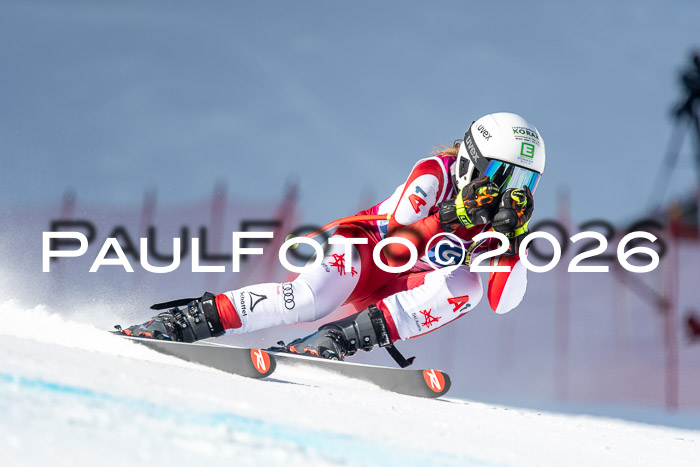 NC + NJC DH ,Frauen + Männer Axamer Lizum 25.03.2026