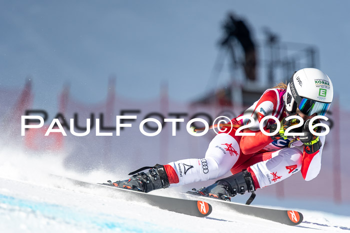 NC + NJC DH ,Frauen + Männer Axamer Lizum 25.03.2026